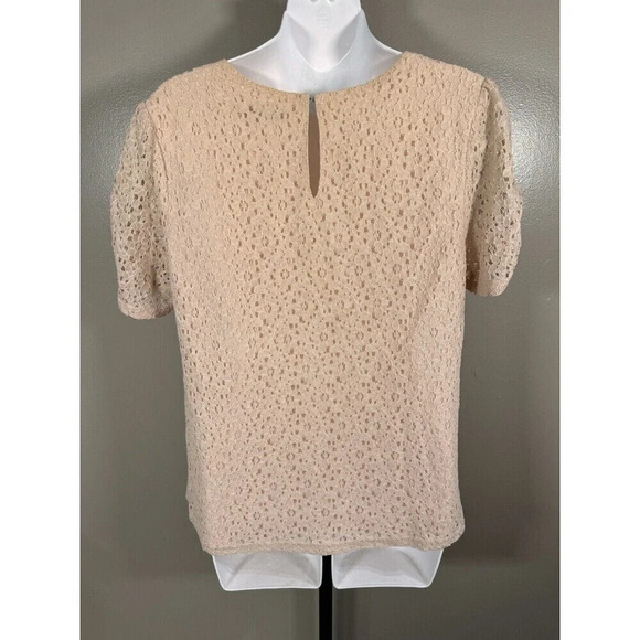 41Hawthorn Peach Sheer Lace Stop Top Women's Flutter Blouse Size Medium - Picture 3 of 6